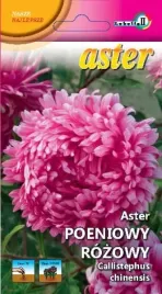 aster-peoniowy-rozowy-ofelia-1g-l
