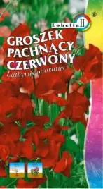 groszek-pachnacy-czerwony-2g-l