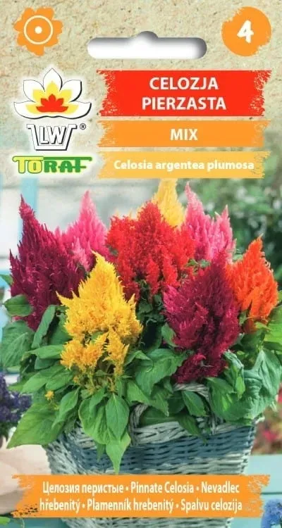 celozja-pierzasta-mix-05g-t