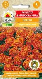 aksamitka-rozpierzchla-bolero-1g-t