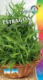 estragon-01g-l