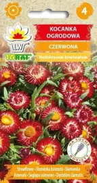 kocanka-ogrodowa-czerwona-05g-t
