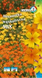 aksamitka-waskolistna-mix-03g-l