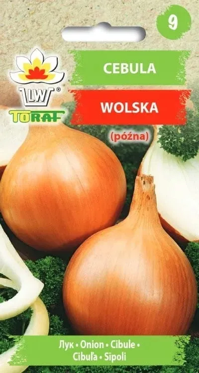 cebula-wolska-5g-t