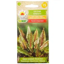 szczaw-krwisty-02g-t