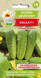 ogorek-gruntowy-dalila-f1-5g-t