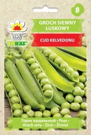 groch-siewny-cud-kelvedonu-50g-t