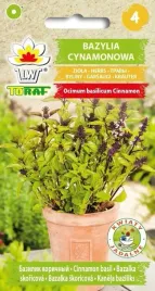 bazylia-zielona-pospolita-05g-t