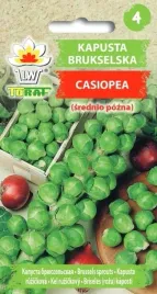 kapusta-brukselska-casiopea-1g-t