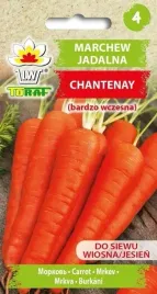 marchew-chantenay-5g-t