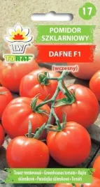 pomidor-szklarniowy-dafne-f1-02g-t