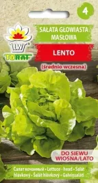 salata-maslowa-lento-1g-t