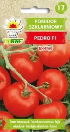 pomidor-szklarniowy-pedro-f1-02g-t