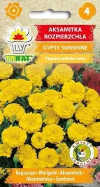 aksamitka-rozpierzchla-gypsy-sunshine-1g-t