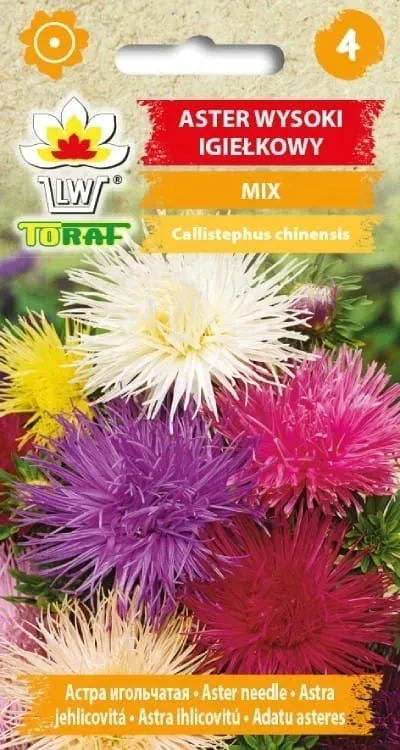 aster-igielkowy-mix-1g-t