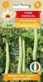 tykwa-pospolita-sicilian-snake-10-szt-t