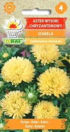 aster-chryzantemowy-izabela-1g-t