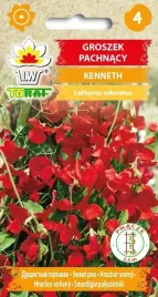 groszek-pachnacy-kenneth-1g-t