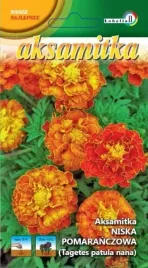 aksamitka-niska-pomaranczowa-1g-l