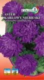 aster-karlowy-niebieski-1g-l