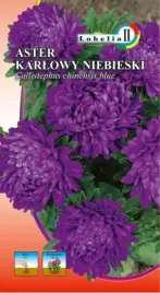 aster-karlowy-niebieski-1g-l