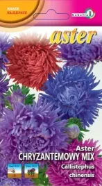 aster-chryzantemowy-mix-1g-l