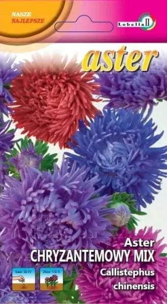 aster-chryzantemowy-mix-1g-l