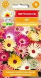 przypoludnik-mix-05g-t