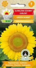 slonecznik-ozdobny-green-hobbit-1g-t