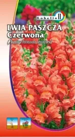 lwia-paszcza-czerwona-1g-l