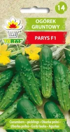 ogorek-parys-f1-4g-t