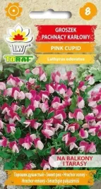 groszek-pachnacy-pink-cupid-1g-t
