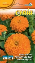 cynia-daliowa-pomaranczowa-1g-l