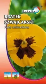 bratek-szwajcarski-zolty-z-plama-03g-l