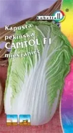kapusta-pekinska-capitol-03g-l