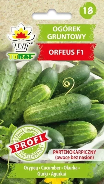 ogorek-orfeus-f1-2g-t