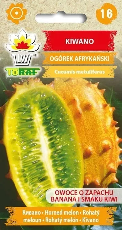 kiwano-03g-t