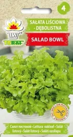 salata-lisciowa-salad-bowl-zielona-1g-t