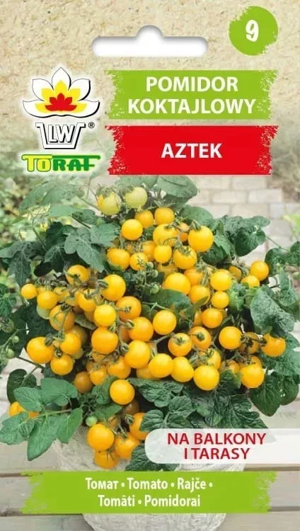 pomidor-gruntowy-aztek-03g-t