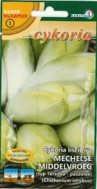 cykoria-mechelse-middelvroeg-typ-terezka-5g-l