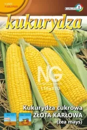 kukurydza-cukrowa-zlota-karlowa-20g-l