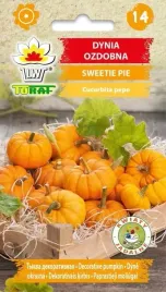 dynia-ozdobna-sweetie-pie-2g-t