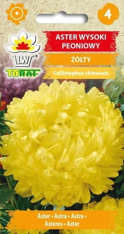 aster-peoniowy-zolty-1g-t