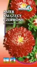 aster-ksiazecy-czerwony-1g-l