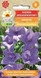 rozwar-wielkokwiatowy-02g-t