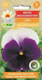 bratek-wielkokwiatowy-lord-02g-t