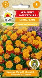 aksamitka-orange-flame-1g-t