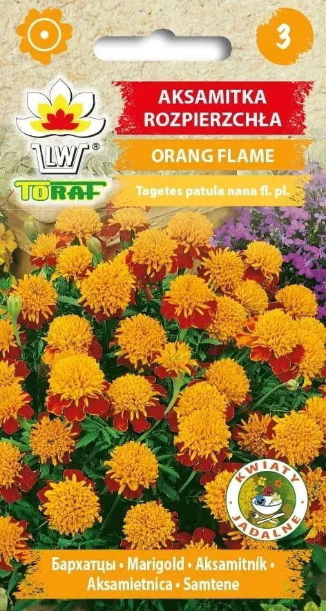 aksamitka-orange-flame-1g-t