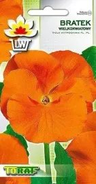 bratek-pomaranczowy-02g-t