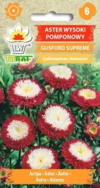 aster-wysoki-pomponowy-gusford-supreme-05g-t
